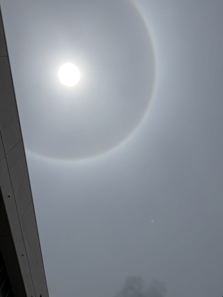 S__107446311_0